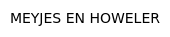 MEYJES EN HOWELER