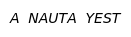 A NAUTA YEST