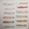 Voorbeeld blad (Musterbuch) 1877 schaatsenmaker R. Frohn&Sohn, Remscheid