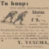 Advertentie 1905 schaatsenmaker Y.Venema, Drachten