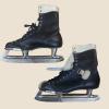 IJshockeyschaatsen schaatsenmaker Brooks, Philadelphia, Pennsylvania (USA)