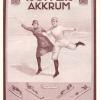 Affiche schaatsenmaker firma G.S.Ruiter, Akkrum