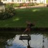 Schaatser - Putten - Gerrit van Emous