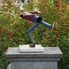 Broek in Waterland - Buizenschaatser op Brievenbus