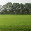 Drie schaatsers - Oldeberkoop
