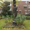 Sint Liduina - Schiedam - Judith Pfaeltzer