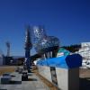 Naam onbekend - Gangneung -