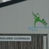 Schaatser - Maasland