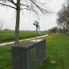 Schaatser - Maasland